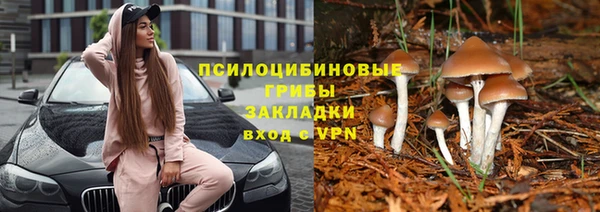 спиды Аркадак
