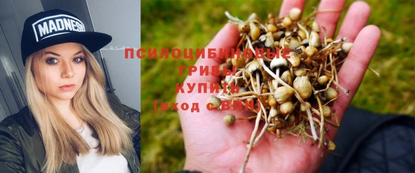 соль ск Алексин