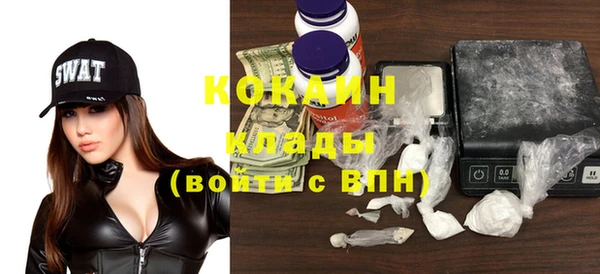 дживик Аша