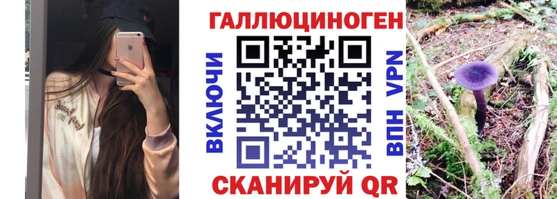 Псилоцибиновые грибы Cubensis  OMG сайт  Печоры 
